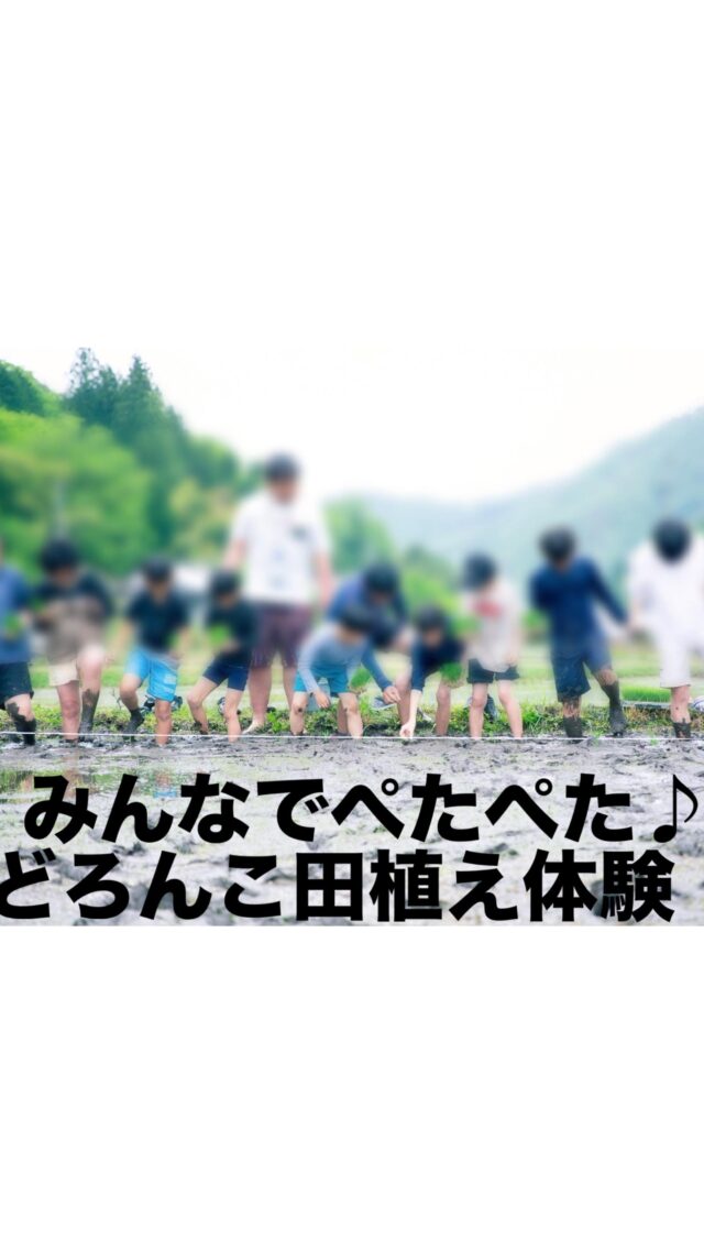 @polaris__hiroshima 👈 他の投稿も見る

—————————

5月11日（日）は田植えを行いました🌾

最初は泥の感触に戸惑いながらも
みんなで声を掛け合いながら
協力して苗を植えていきました😊 

難しそうにしていた子も
少しずつコツをつかんで
黙々と集中して取り組んでいました💪

お米農家さんのご協力の元自然の中で
貴重な体験ができ無事に全ての苗を
綺麗に植えることが出来ました✨️

今回の田植え体験のように、
自然の中で体を動かし、土にふれる時間は、
子どもたちにとってかけがえのない学びの機会です✨️

ポラリスでは、こうした自然や社会の中でのリアルな体験を通じて、
思いやりや協力する力を育み、
「生きる力」へとつなげていく支援を大切にしています🌱

美味しいお米が育ちますように🙏💫✨

—————————
📩 気になることがあればDMでどうぞ 
小さなことでも大歓迎です♪

📌最新の事業所毎の空き状況は
ハイライトでご案内中😊

#放課後等デイサービス  #放デイ  #自立支援  #発達支援  #療育支援  #グレーゾーン  #広島放デイ