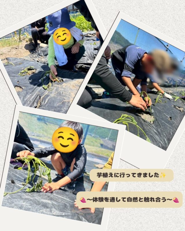 @polaris__hiroshima 👈 他の投稿も見る⸻
⁡⁡
⁡5月17日に、みんなで 芋植え体験 を行いました🍠🌱
畑に行くと、「これがお芋になるの？」と興味津々の子どもたち😊
今回はお芋の苗植えだけでなく、
スイカとかぼちゃの種植えにも挑戦しました🍉🎃

小さな種を見ながら、「ここから大きくなるの？」「早くできてほしい！」と、わくわくした声もたくさん✨
今回の活動では、野菜や果物が育つ過程を知りながら、自然に触れる経験を大切にしています🌱
土を掘って、苗や種を入れて、やさしく土をかぶせる。
一つひとつの作業に真剣に取り組み、「次ここやる！」「できた！」と前向きな姿がたくさん見られました👏
途中で疲れた様子を見せる子もいましたが、
最後までやりきったあとには達成感いっぱいの笑顔に😊

実際に植える経験を通して、「どうやって育つんだろう？」「いつできるかな？」と、自然と食べ物への興味も広がっている様子でした✨

ポラリスでは、自然の中で体を動かしながら、
“知るだけ”ではなく、“感じる経験”を大切にしています。
「外活動ってどんなことをするの？」
「うちの子も楽しめるかな？」
そんな方も、ぜひ一度活動の様子を見にいらしてください☺️
⁡┈┈┈┈┈┈┈┈┈┈┈┈┈┈
📩 気になることがあればDMでどうぞ🎶

📌最新の事業所毎の空き状況はハイライトでご案内中😊

⁡#放課後等デイサービス #放デイ #芋植え #発達支援 #グレーゾーン⁡